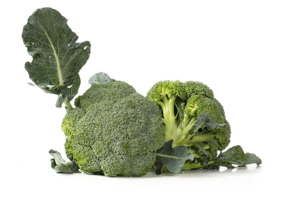 Mogen broccoli kål — Stockfoto