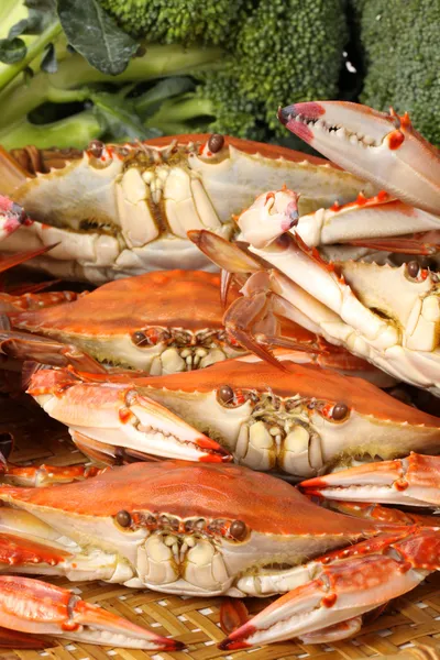 Crabs with broccoli — Stock Photo, Image