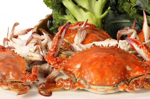 Crabs heap — Stock Photo, Image