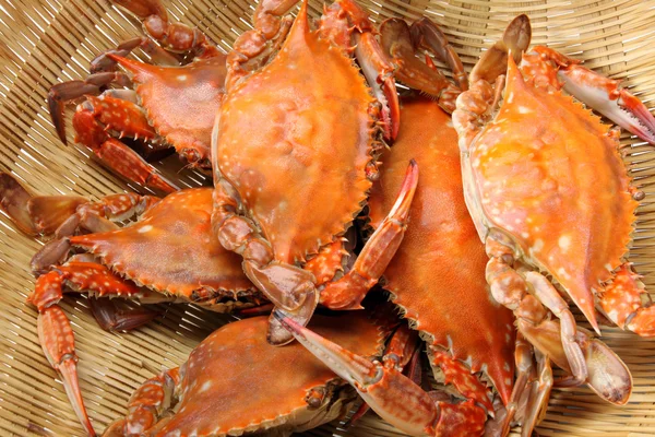 Crabs in basket — Stock Photo, Image