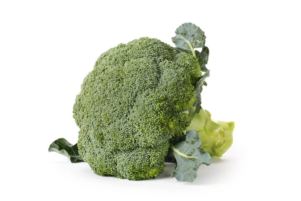 Rå broccoli — Stockfoto