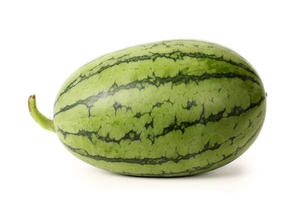 Big watermelon — Stock Photo, Image