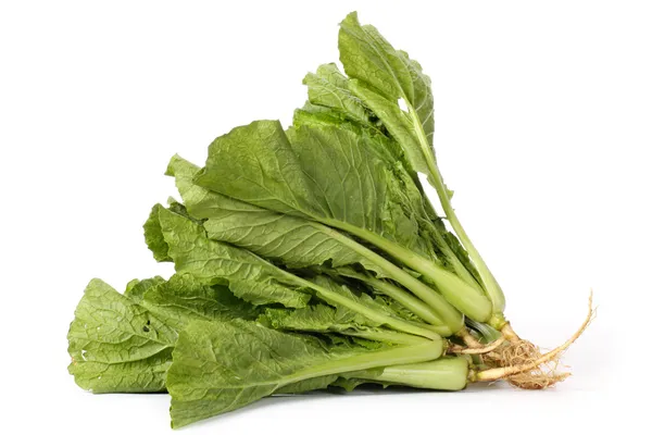Leafy cabbage — Stock Photo, Image