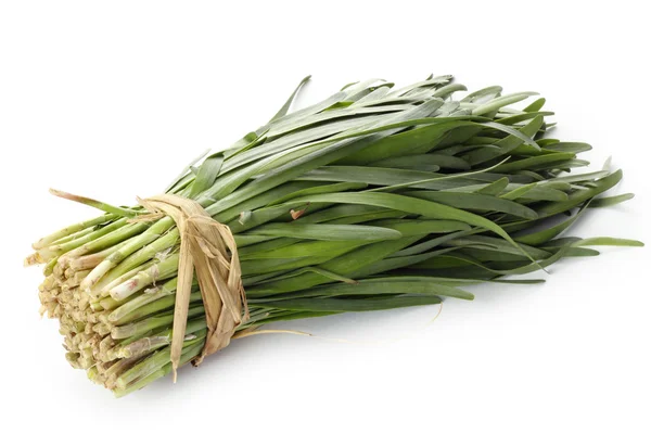 Green Onion — Stock Photo, Image