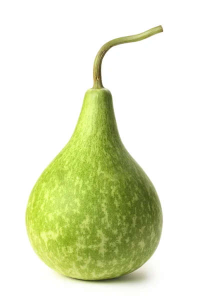 Grüner Kürbis — Stockfoto