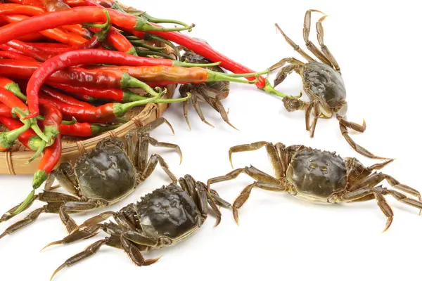 Crabes aux piments — Photo