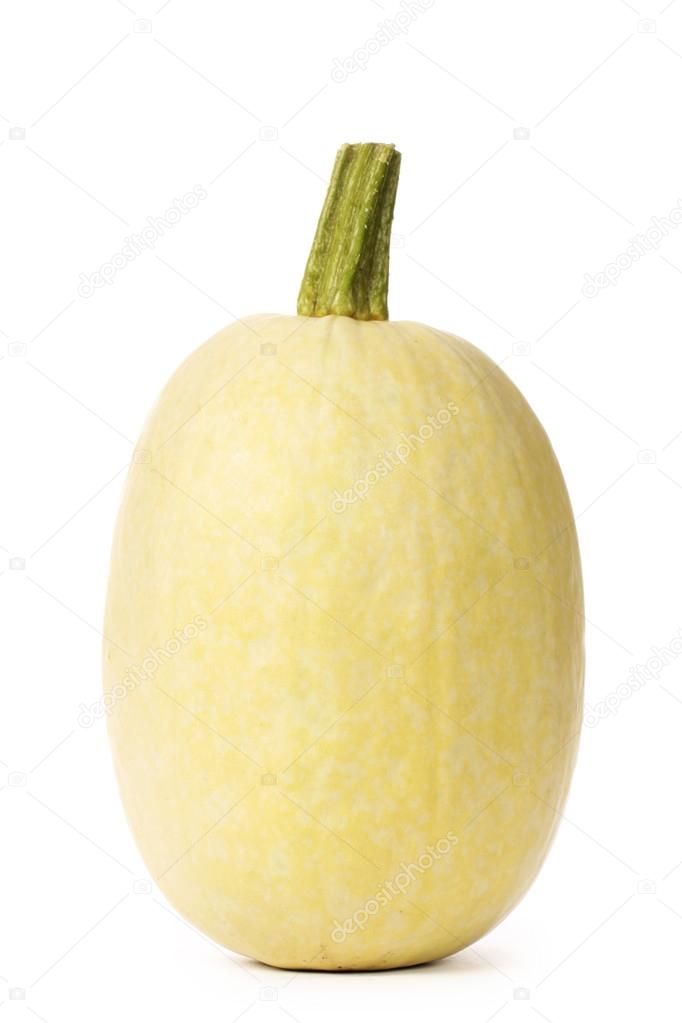 Spaghetti Squash Stock Photo By C Jianghongyan