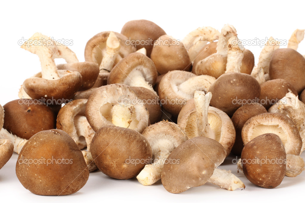 Heap of shiitake mushrooms