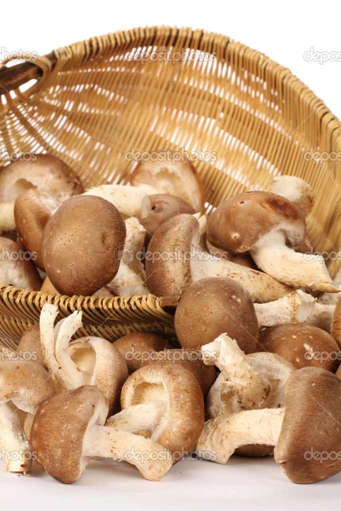 Basket of shiitake mushrooms