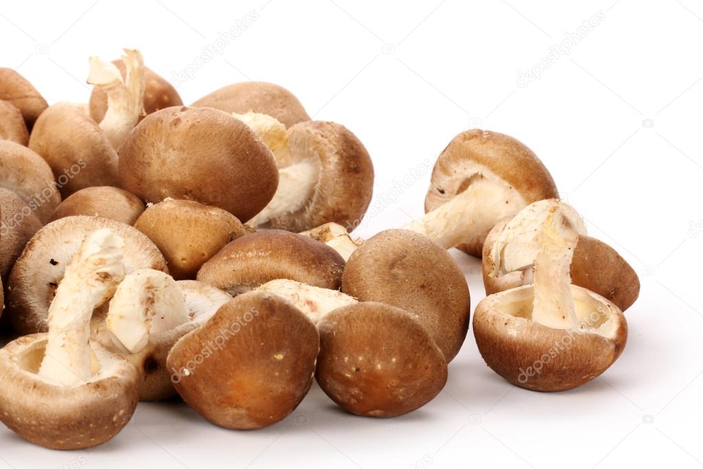 Heap of shiitake mushrooms