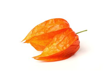 Physalis berry