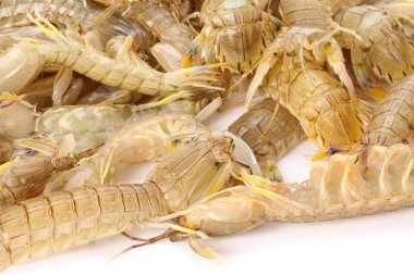 Mantis karides yığın