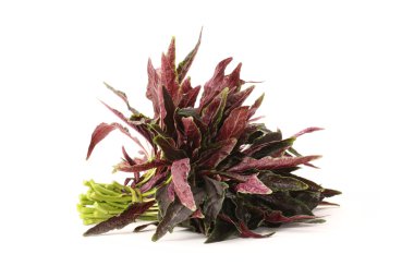 Amaranth demet