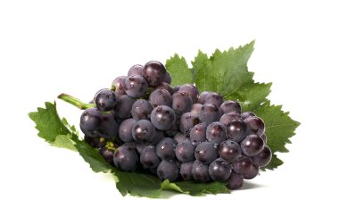 üzüm yaprağı