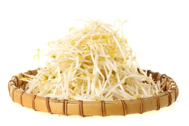 Mung fasulye filizi