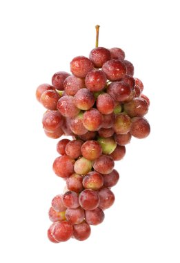 Kırmızı üzümler