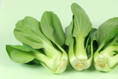 Yeşil pok choi