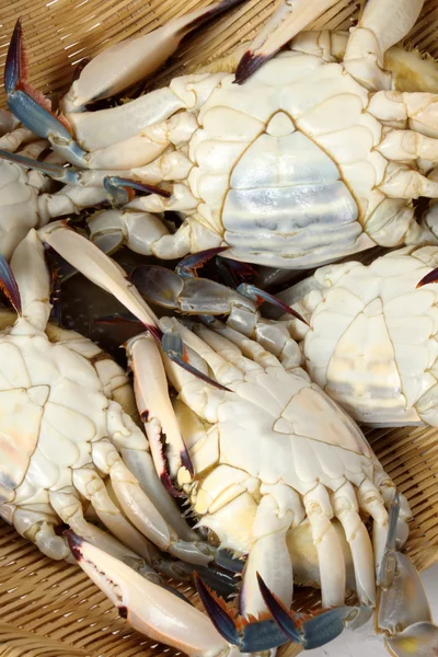 Basket of Crabs — Stock Photo, Image