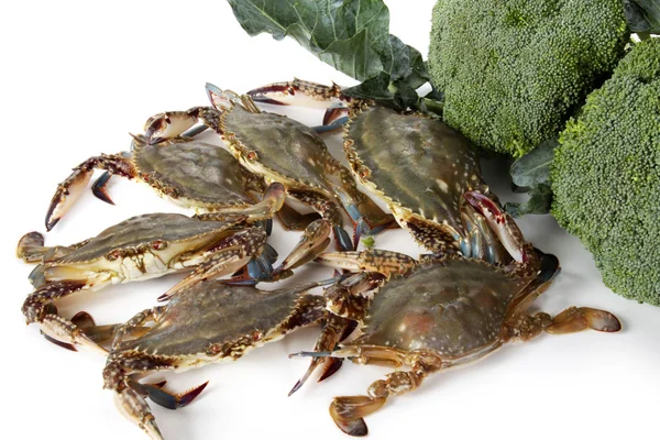 Crabes au brocoli — Photo