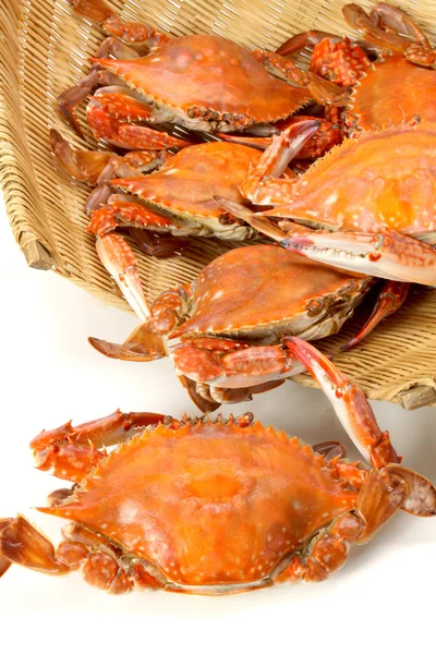 Crabs in basket — Stock Photo, Image