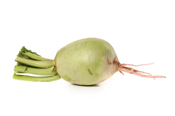 Green radish — Stock Photo, Image