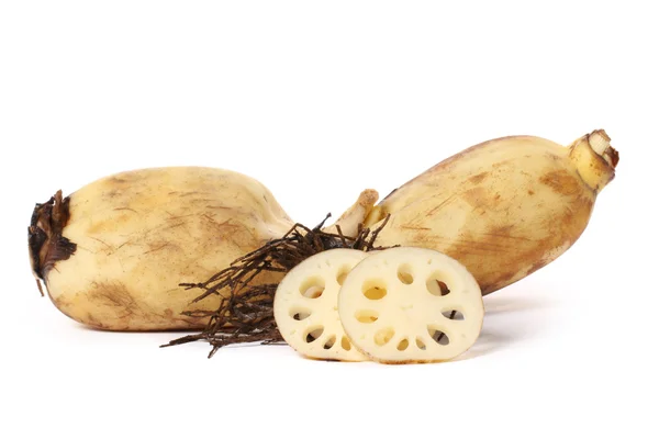Traditional Lotus root — Stock Photo, Image