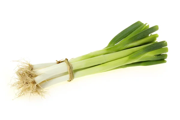 Onion bunch — Stock Photo, Image