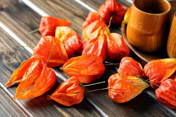 Physalis och cup — Stockfoto