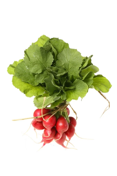 Fresh radishes — Stock Photo, Image