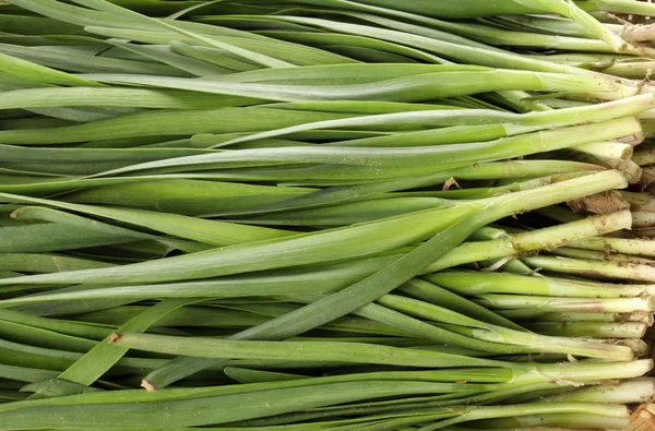 Heap of leek — Stock Photo, Image