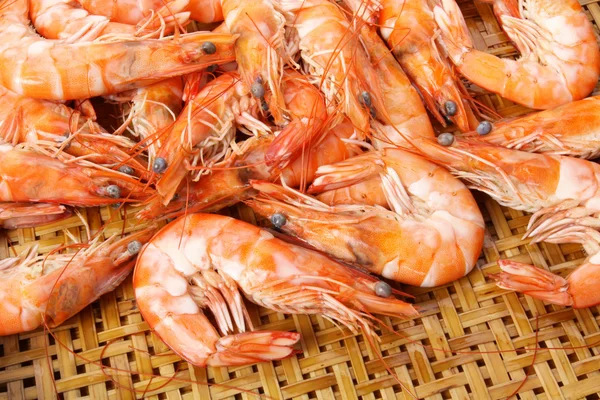 Crevettes tigrées bouillies — Photo