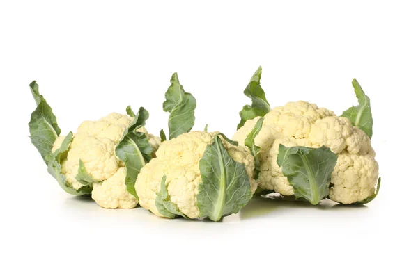 Cauliflower cabbages — Stock Photo, Image