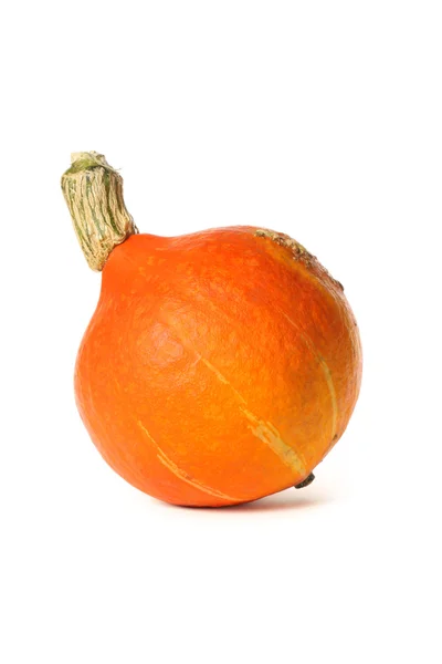 Pomarańczowy dyni — Zdjęcie stockowe