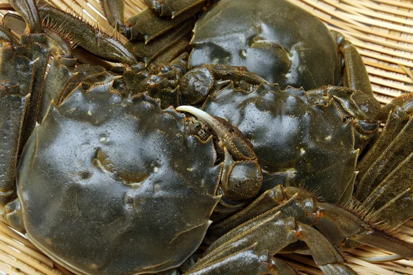 Panier de crabes — Photo