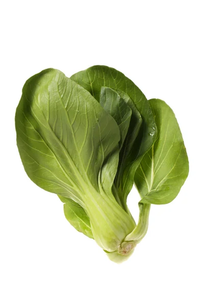 Gröna pok choi — Stockfoto