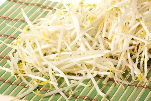 Mung bean sprouts — Stock Photo, Image