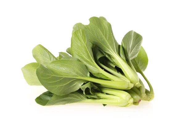 Pok Choi bunch — Stock Photo, Image