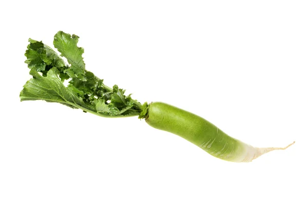 Green radish — Stock Photo, Image