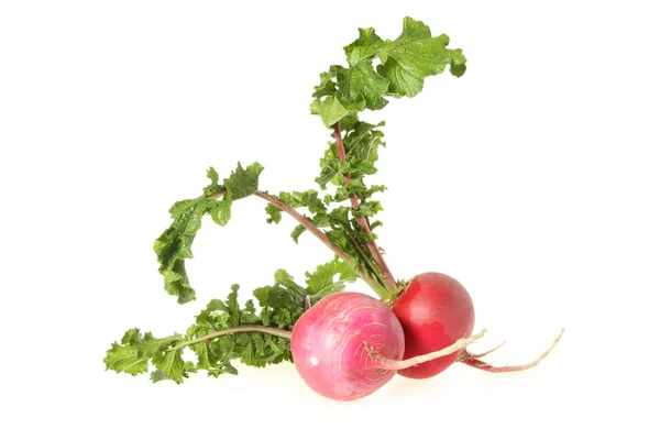 Fresh radishes — Stock Photo, Image