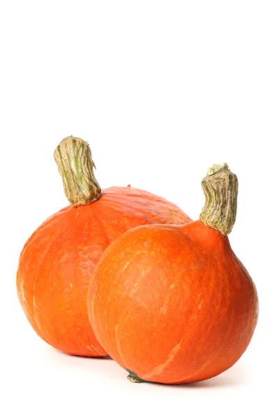 Calabazas anaranjadas — Foto de Stock