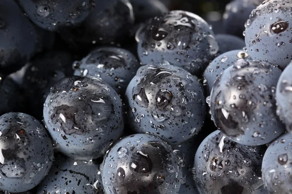 Wet Grapes — Stock Photo, Image