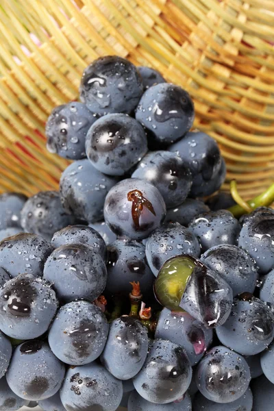 Uvas na cesta de vime — Fotografia de Stock