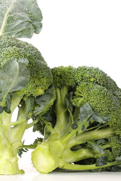 Cavoli broccoli maturi — Foto Stock