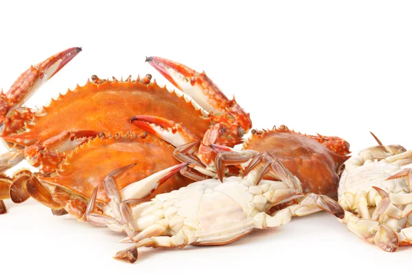 Crabs heap — Stock Photo, Image