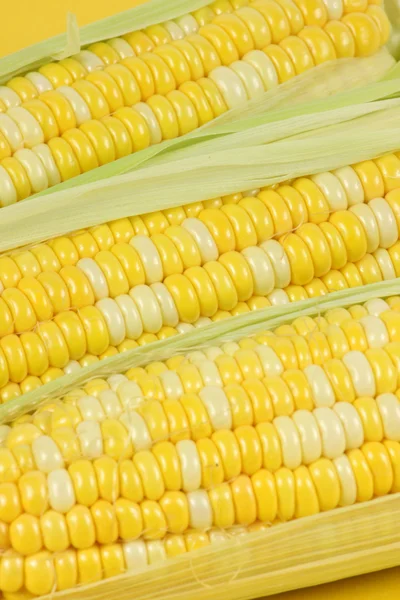 Corn with leaves — Stock Photo, Image