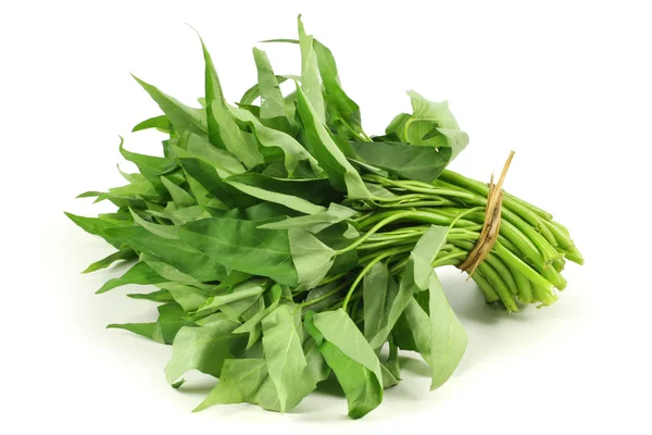 Water spinach — Stock Photo, Image