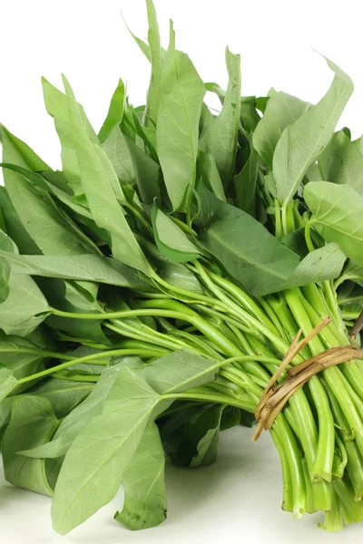 Water spinach — Stock Photo, Image