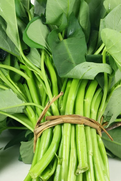 Espinacas de agua — Foto de Stock