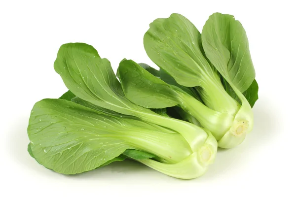 Green Pok Choi — Stock Photo, Image