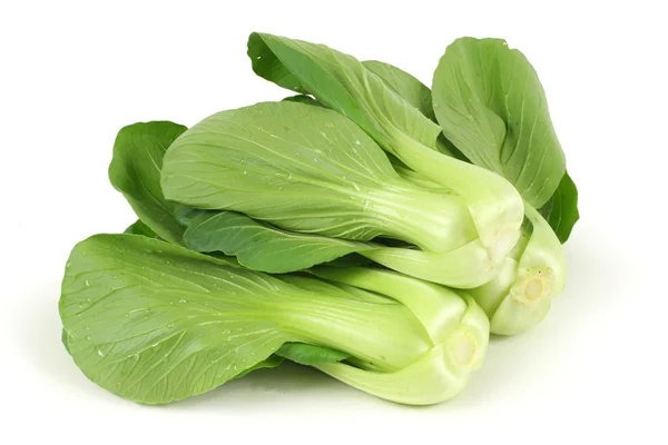 Green Pok Choi — Stock Photo, Image